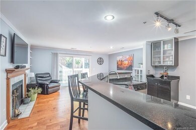 Living room/Kitchen