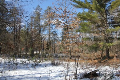 Sunny Lake Glennie MI
