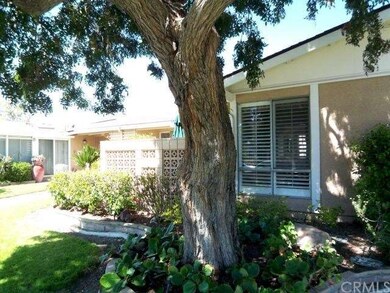 Decorative planter with shady trees.