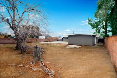 Daytime #6 - Yucca Yard From South Corne