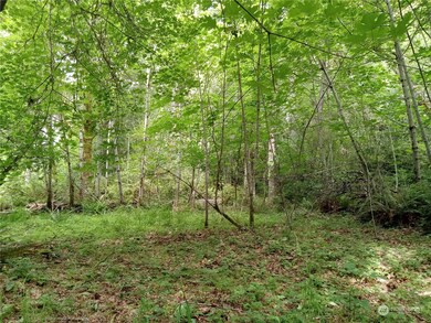 16917 92nd St SW, Longbranch, WA 98351 - photo 2