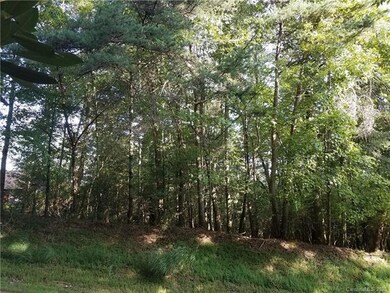 Lot located just before 4523 Connestee Trail.