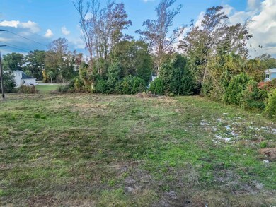 1017 Atlantic St, Atlantic Beach, SC 29582 - photo 7