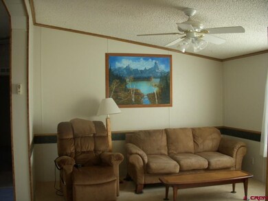 9th Street, Cedaredge, CO 81413 - photo 5