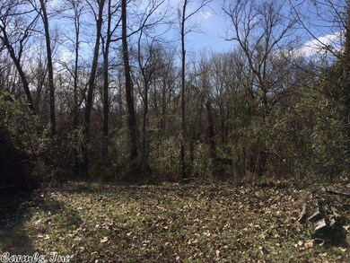 9 Cedar Glade, Pangburn, AR 72121 - photo 4