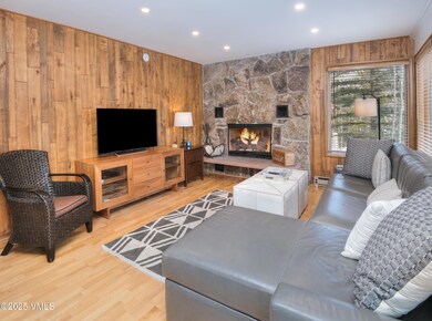 Timber-Falls-2001-MLS_05