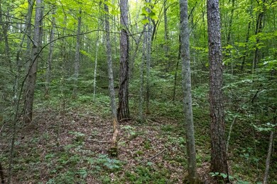 Lot 12 Carousel Ln, Sylva, NC 28779 - photo 4