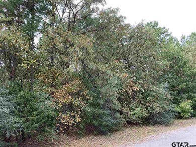 14676 Jade Forest Trail, Tyler, TX 75707 - photo 2