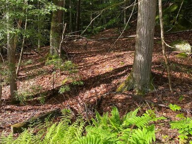 0 Old Swanzey Rd unit Map 18 Lot B004, Chesterfield, NH 03462 - photo 7