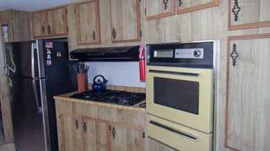 IMG_0024_edited-1