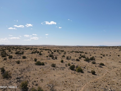 10424 W Line Cook Trail, Williams, AZ 86046 - photo 3