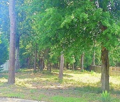 C9DE199F-BD7C-4539-ADEC-A1E9EE57E600_1_2