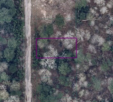 Ariel View directly over the lot - street access -
