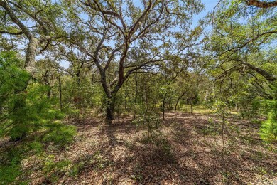 TBD SW Winding Hills Rd, Dunnellon, FL 34431 - photo 4