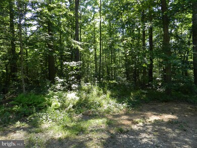 4 Hart, Culpeper, VA 22701 - photo 7