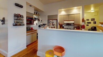 96 Sheridan St unit 2, Jamaica Plain, MA 02130 - photo 2