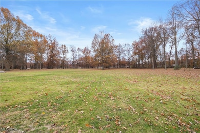 321 Fern St, South Amherst, OH 44001 - photo 7