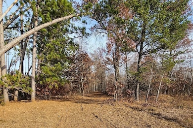 0 Welch Rd unit 25650595, Union Township, WI 54893 - photo 2