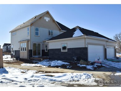 14143 Jackson St, Thornton, CO 80602 - photo 3
