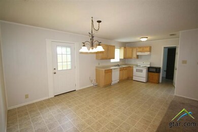12090 County Road 2243, Tyler, TX 75707 - photo 4