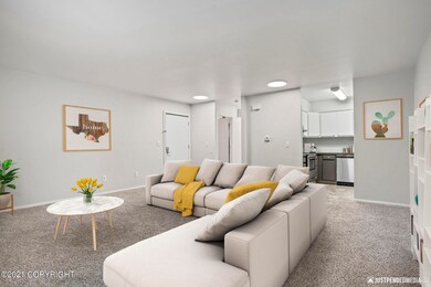 16-web-or-mls-DSC02482