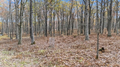 DJI_20251029110906_0117_D