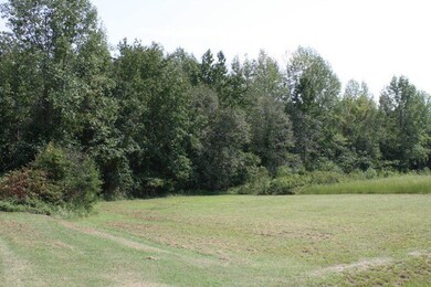 unlisted-address, Castalia, NC 27816 - photo 2