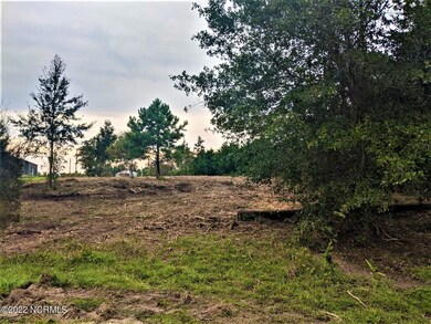Land Pic 12