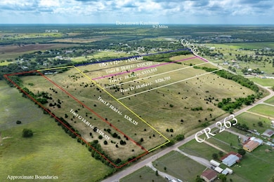 Tract D Stitzle Rd, Crandall, TX 75114 - photo 4