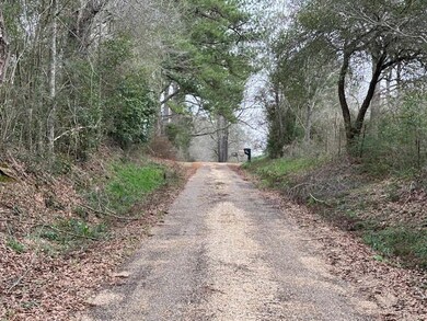 43443 Jackson Brumfield Rd, Franklinton, LA 70438 - photo 3