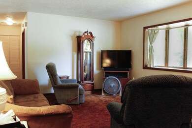 Naturally Light Living Room