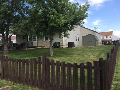 backyard 2
