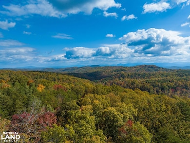 0 Polly Mountain Rd unit 25503304, Madisonville, TN 37385 - photo 3