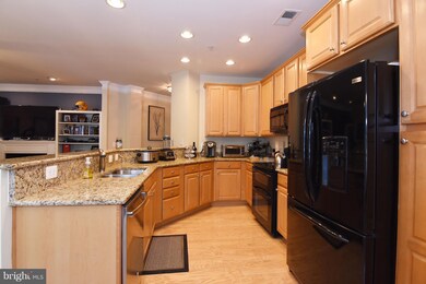 1505 Broadneck Place unit 2-203, Annapolis, MD 21409 - photo 7