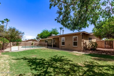 Backyard and Swimming Pool