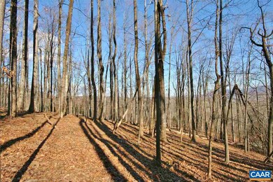 845 Crawfords Climb, Nellysford, VA 22958 - photo 4