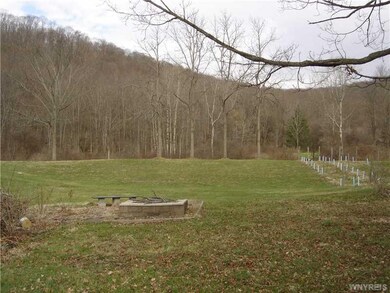 Backyard.