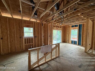 1017 Ivory Ln, West End, NC 27376 - photo 5