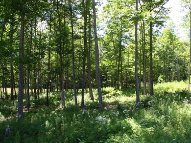 Lightly wooded lot that can be...