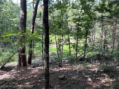 0089 Tract 8 & 9 Goats Bluff Rd, Wister, OK 74966 - photo 5