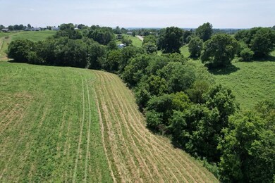 7370 Energy Rd, Ewing, KY 41039 - photo 4