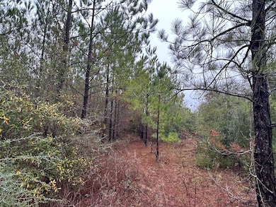 Tract#6418 Mattox Springs Rd unit N1, Caryville, FL 32427 - photo 2