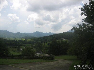 000 Jones Rd, Leicester, NC 28748 - photo 2