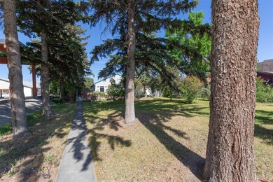 Front yard