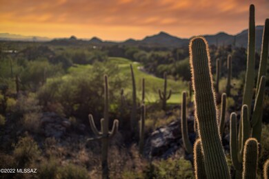 Elevated High in the Sonoran Desert