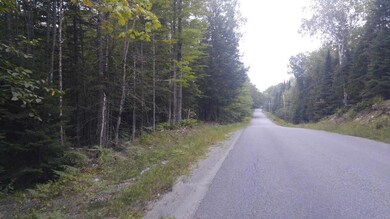 Lot 73 Chadbourne Rd, Harmony, ME 04942 - photo 2