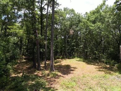 5810 Dixie Plantation Rd, Hollywood, SC 29449 - photo 2