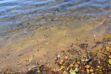 28930 Tall Moon Trail, Danbury, WI 54830 - photo 6