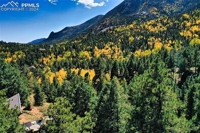 More aspen and evergreen than you could ever imagi