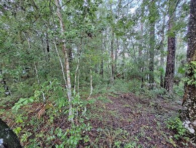 127 Scipio Landing Rd